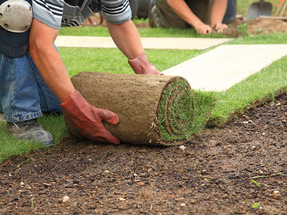 Lawncare