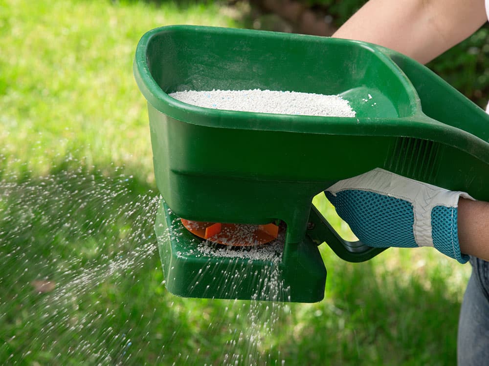 Fertilization project by A Cut Above Lawn Care Inc